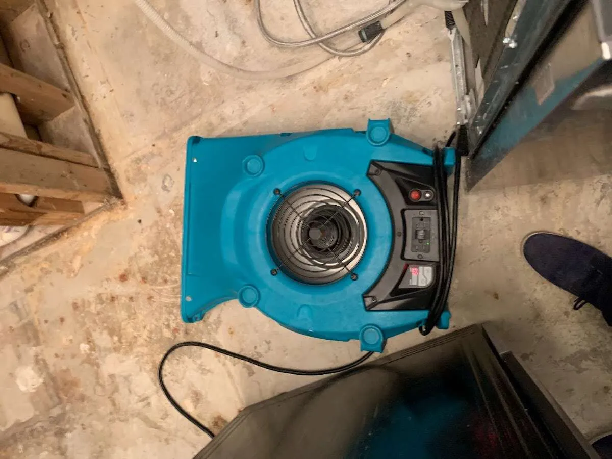 Air mover drying equipment for Mold Remediation & Removal in South Euclid